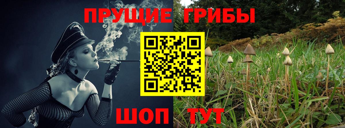 Галлюциногенные грибы прущие грибы Химки